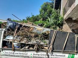 Best Construction Debris Removal  in Kaibito, AZ