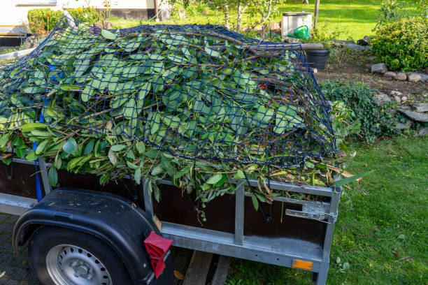 Best Moving and Downsizing Cleanouts  in Kaibito, AZ